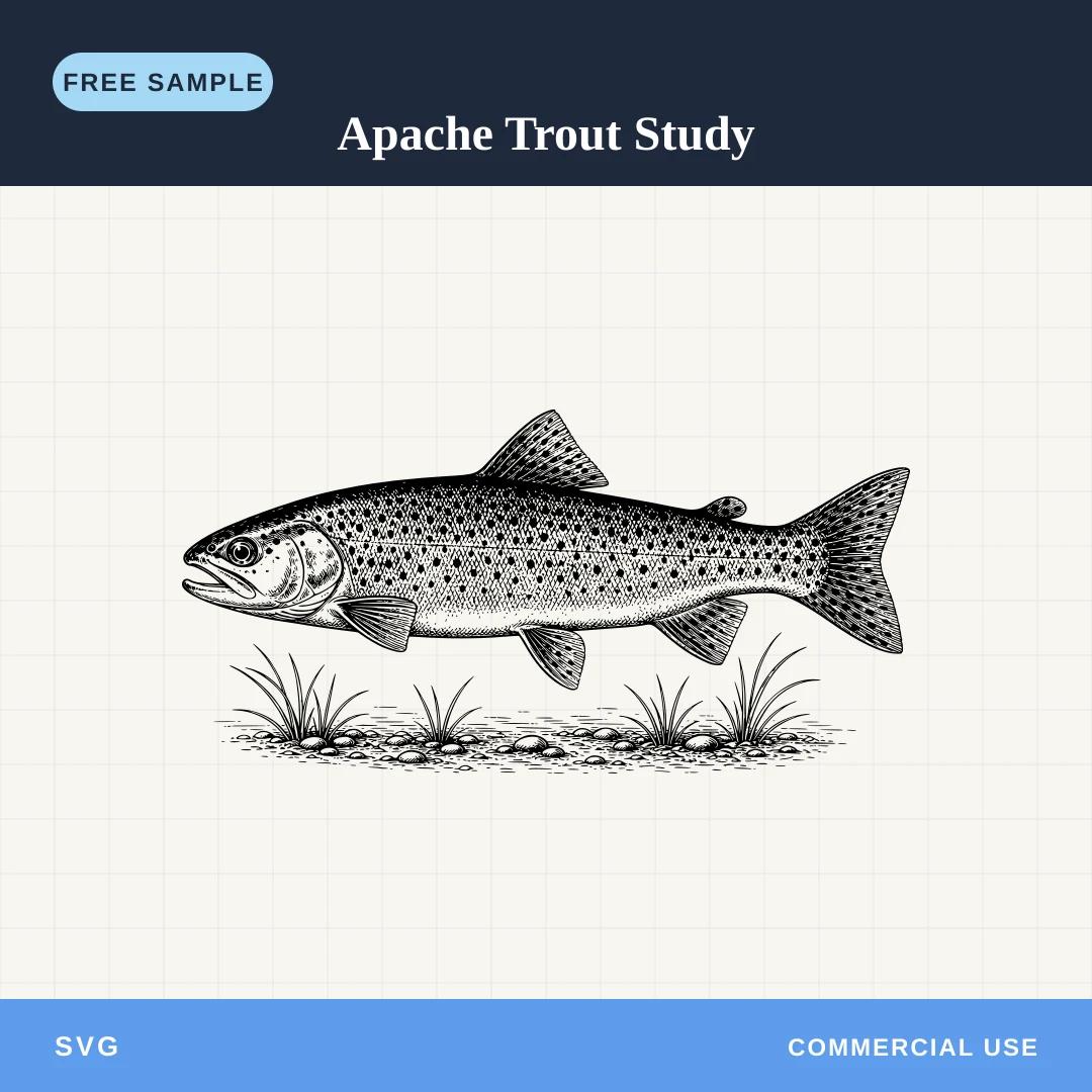 Free Apache Trout Study SVG sample