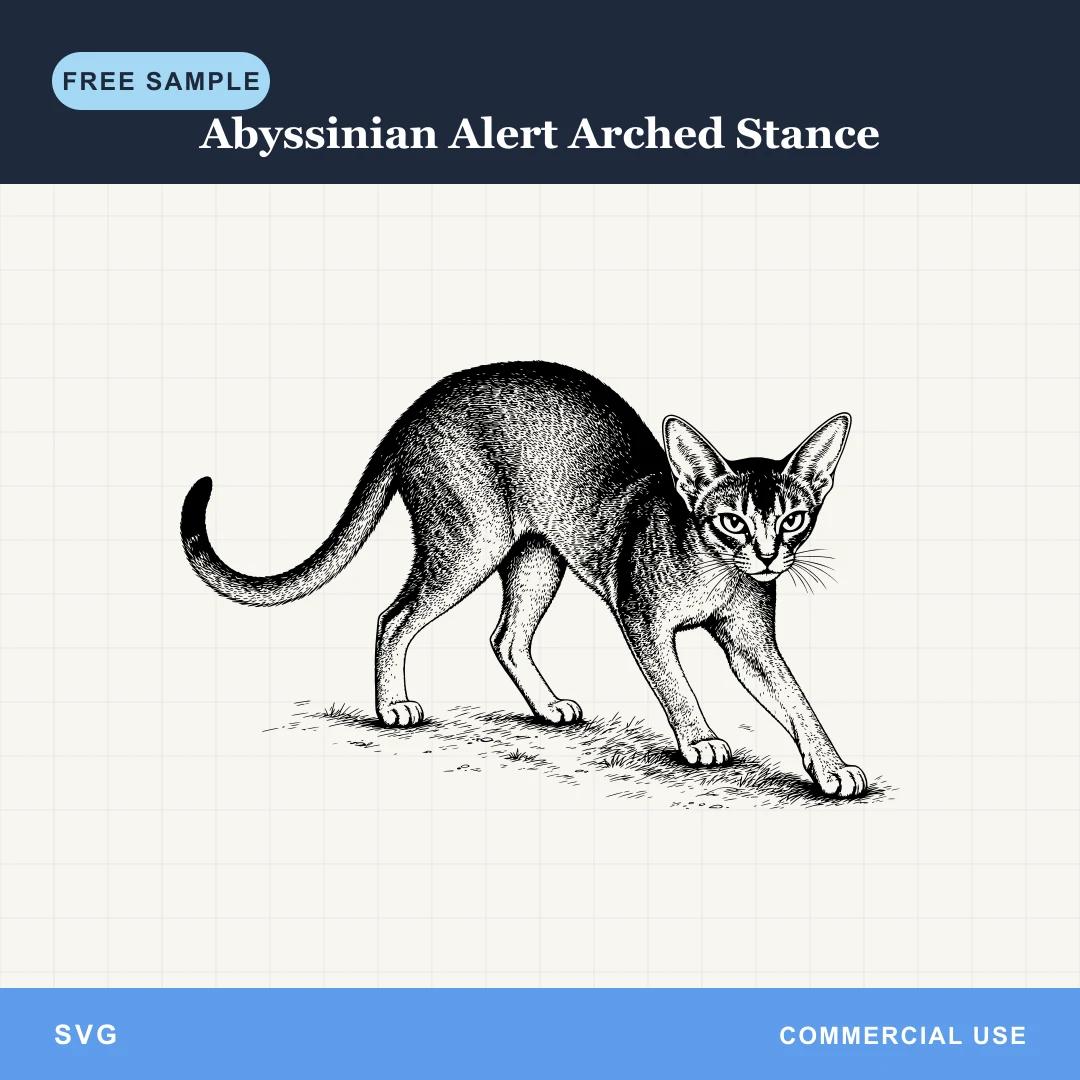 Free Abyssinian Alert Arched Stance SVG