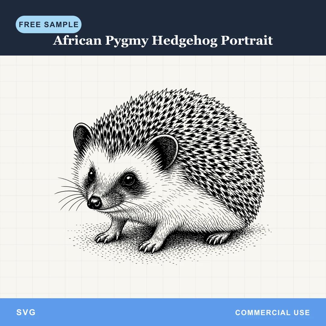 Free African Pygmy Hedgehog Portrait SVG