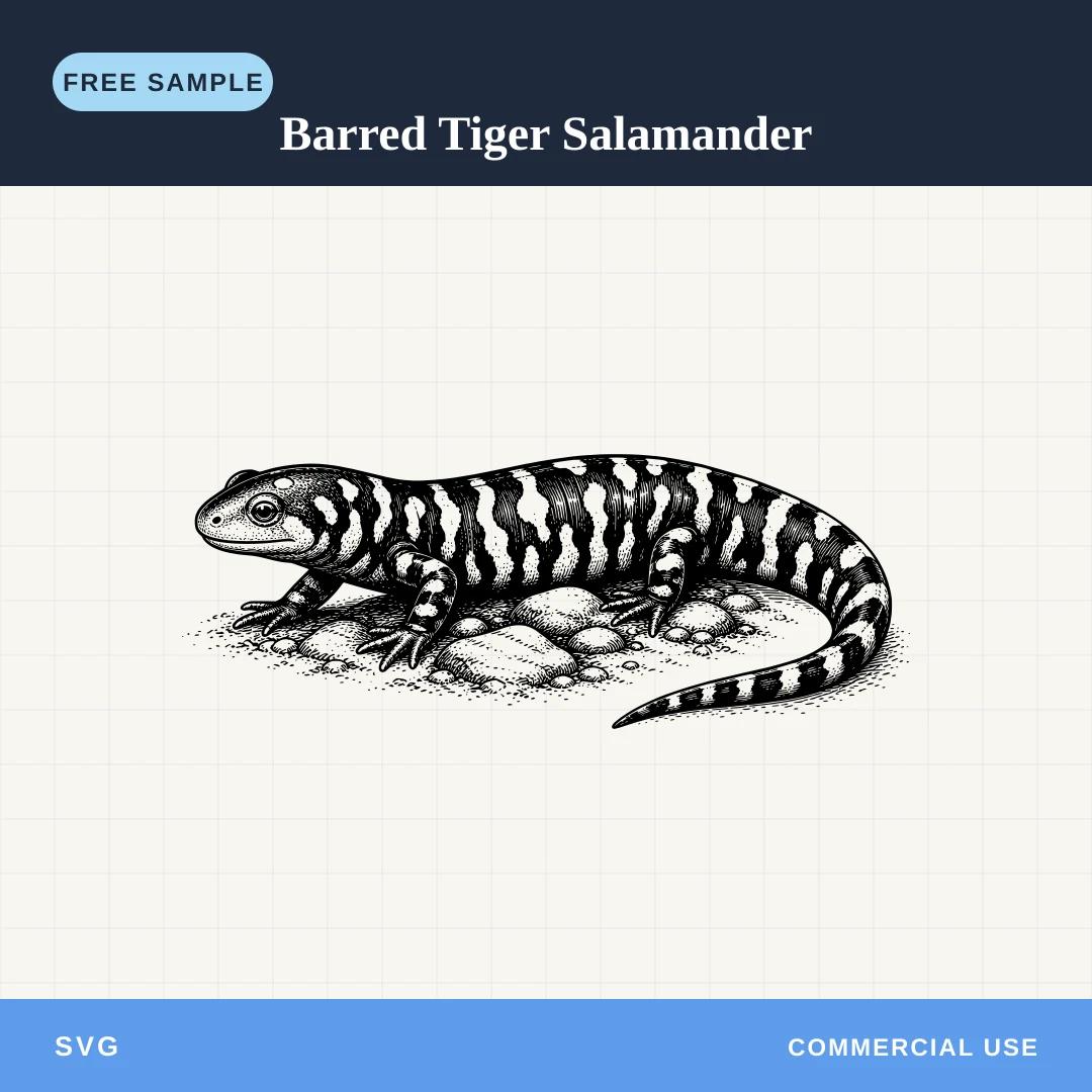 Free Barred Tiger Salamander SVG sample