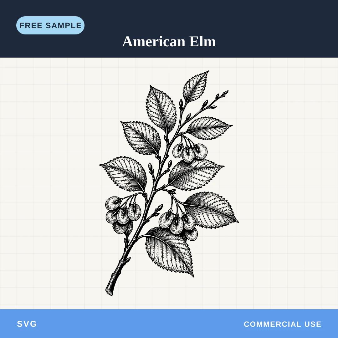 Free American Elm SVG sample
