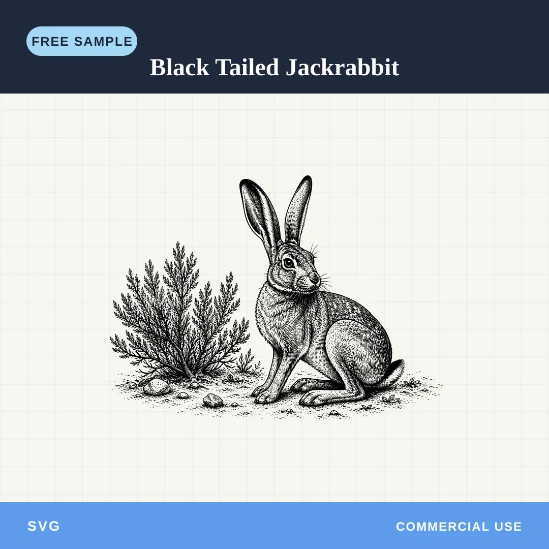 Free Black Tailed Jackrabbit SVG sample
