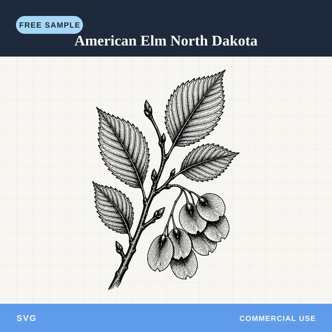 Free American Elm North Dakota SVG sample