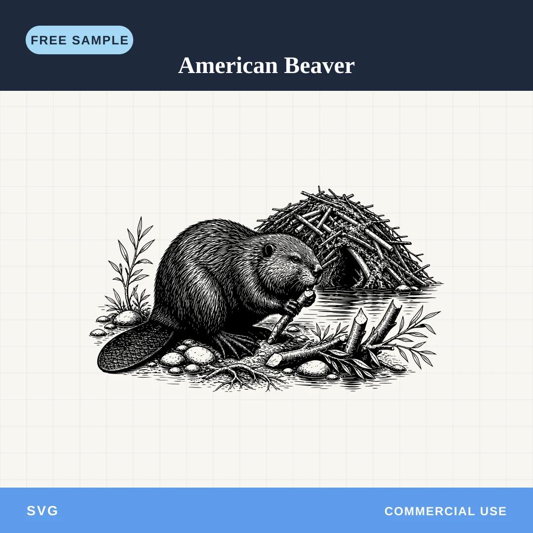 Free American Beaver SVG sample