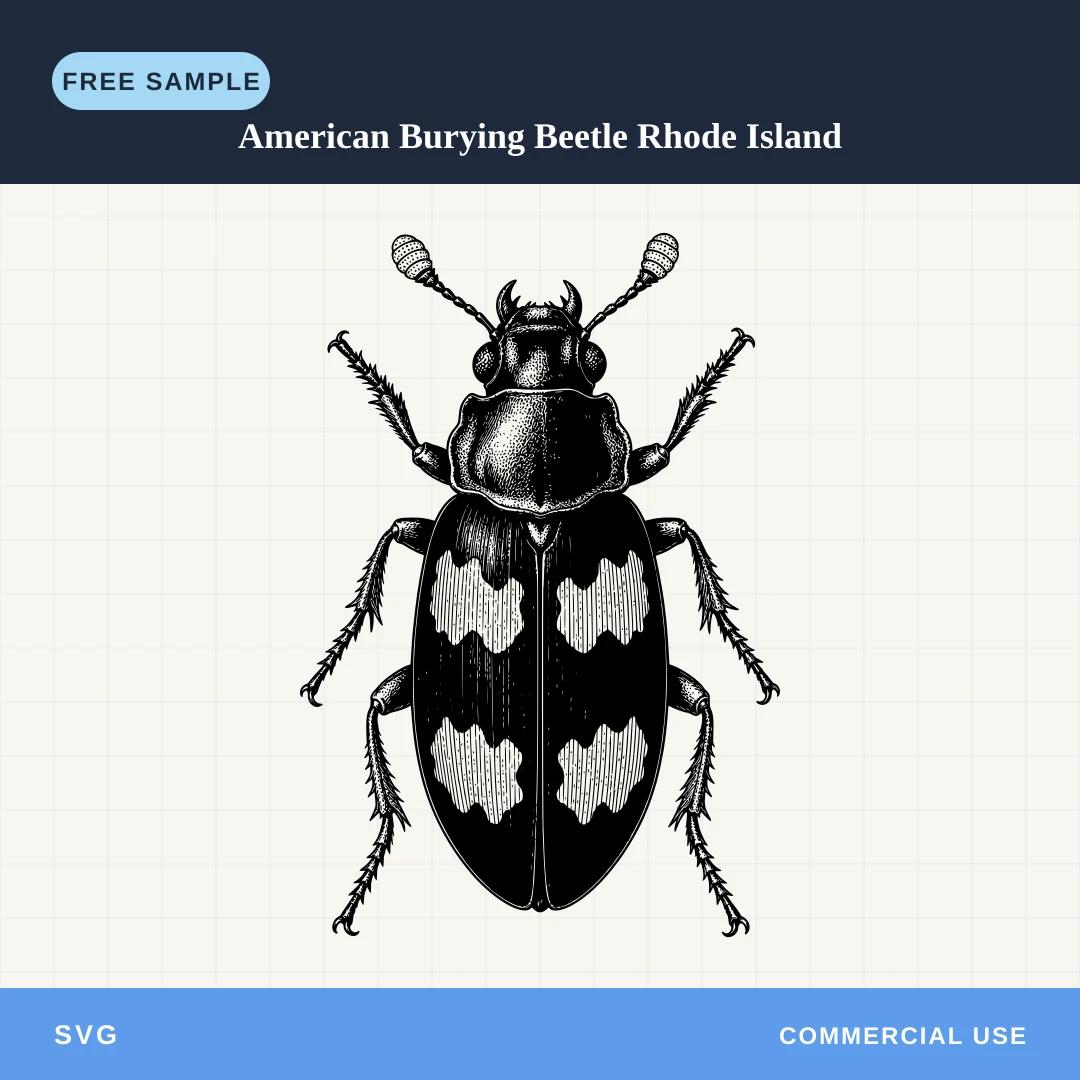 Free American Burying Beetle Rhode Island SVG sample