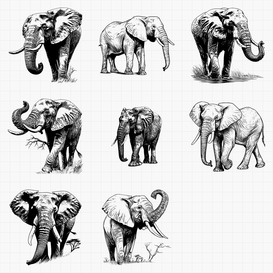 African Elephants Designs - Thumbnail 6