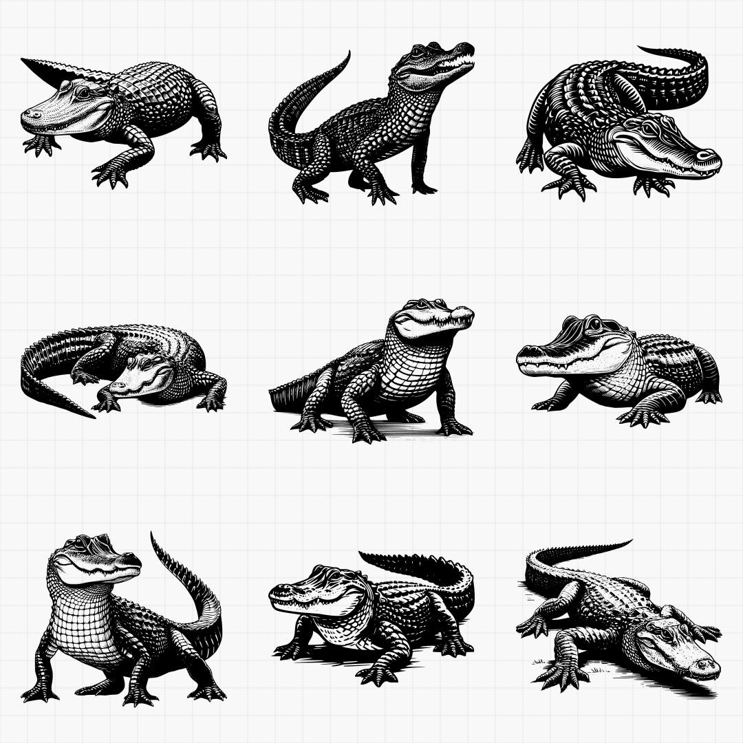 Alligator And Crocodile Designs Pack - Thumbnail 4