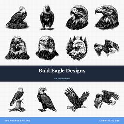 Bald Eagle Designs