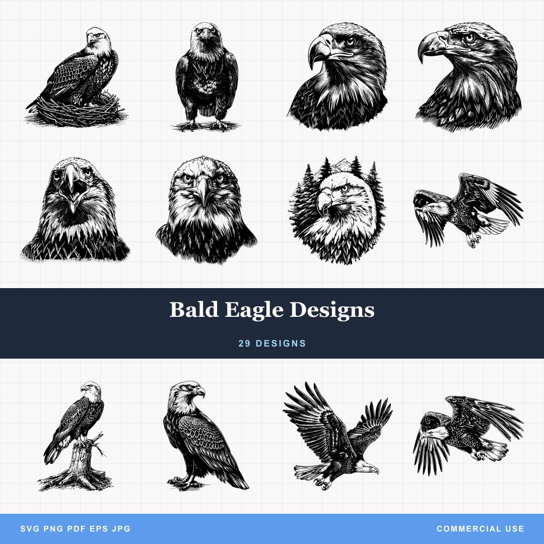 Bald Eagle Designs