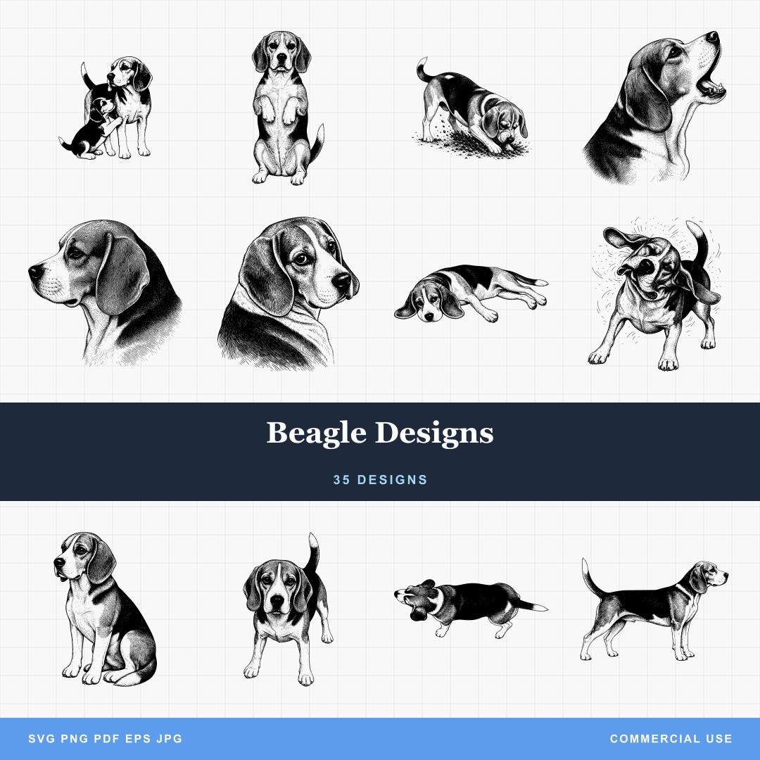 Beagle Designs