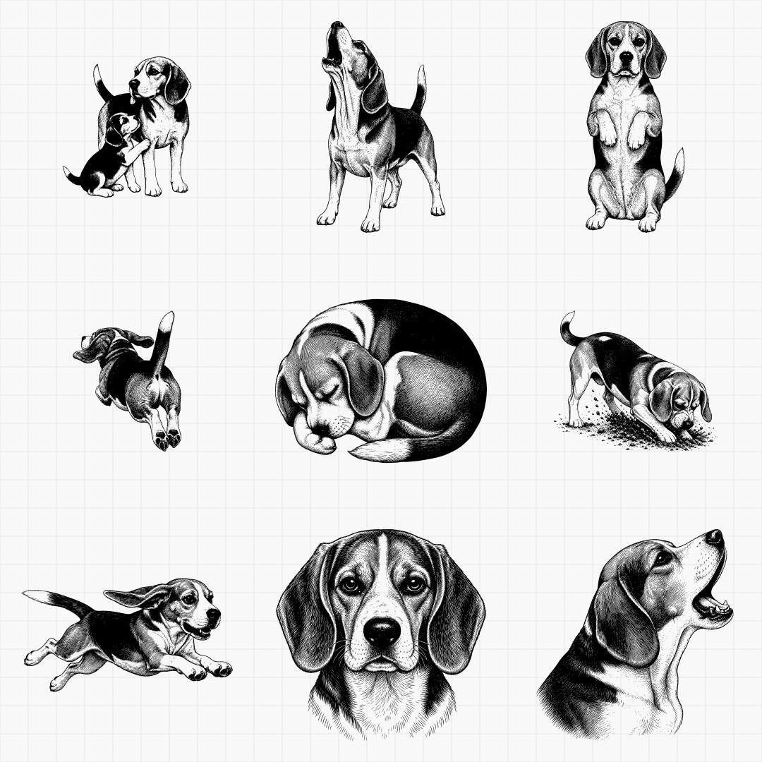 Beagle Designs - Thumbnail 2