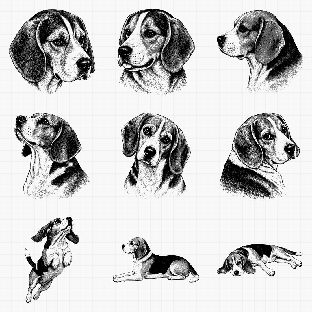 Beagle Designs - Thumbnail 3