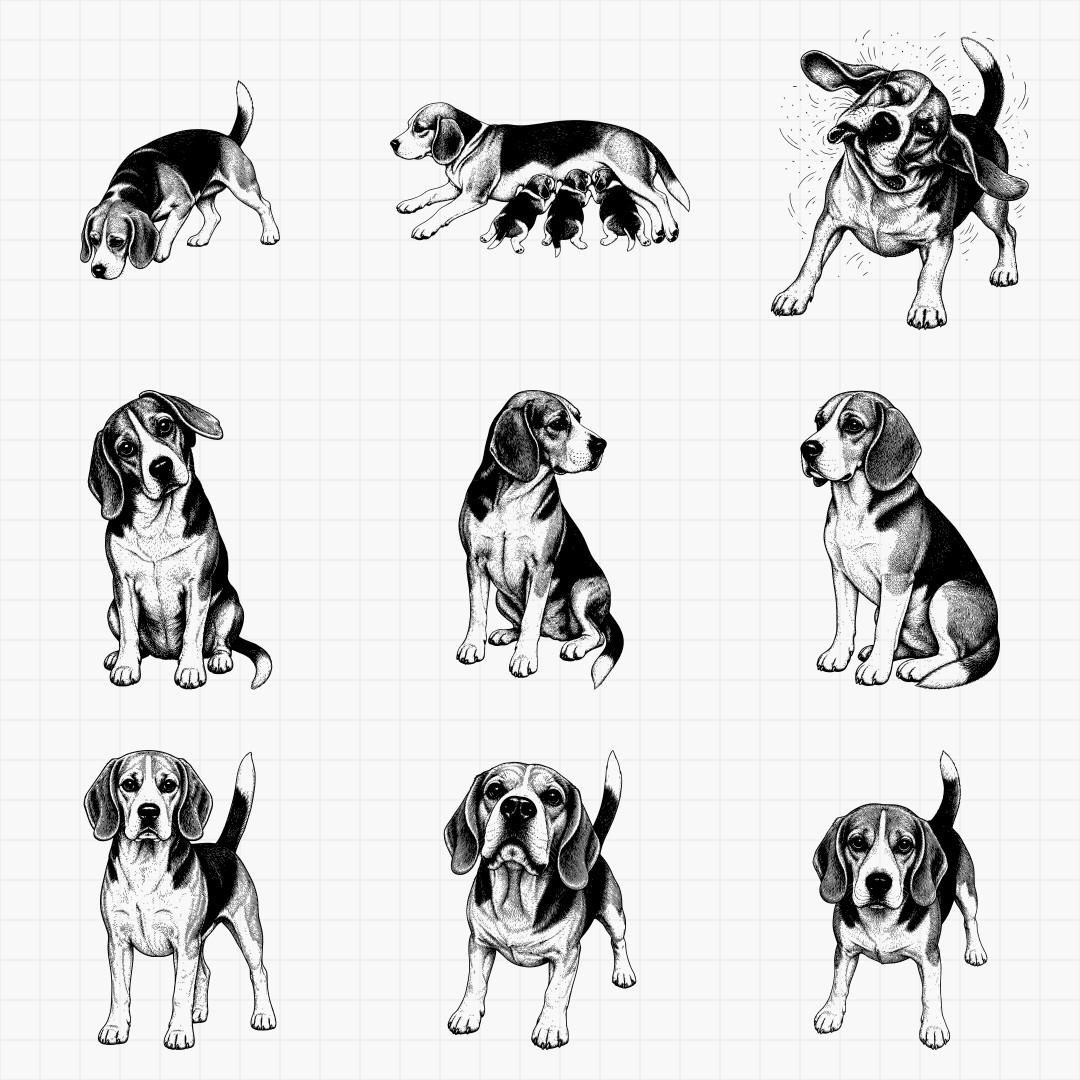 Beagle Designs - Thumbnail 4