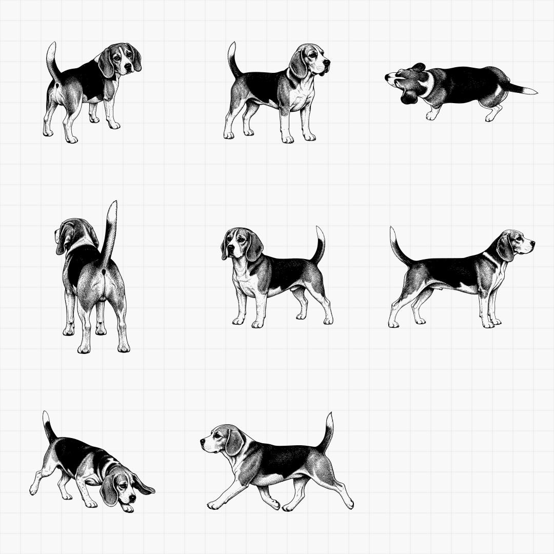 Beagle Designs - Thumbnail 5