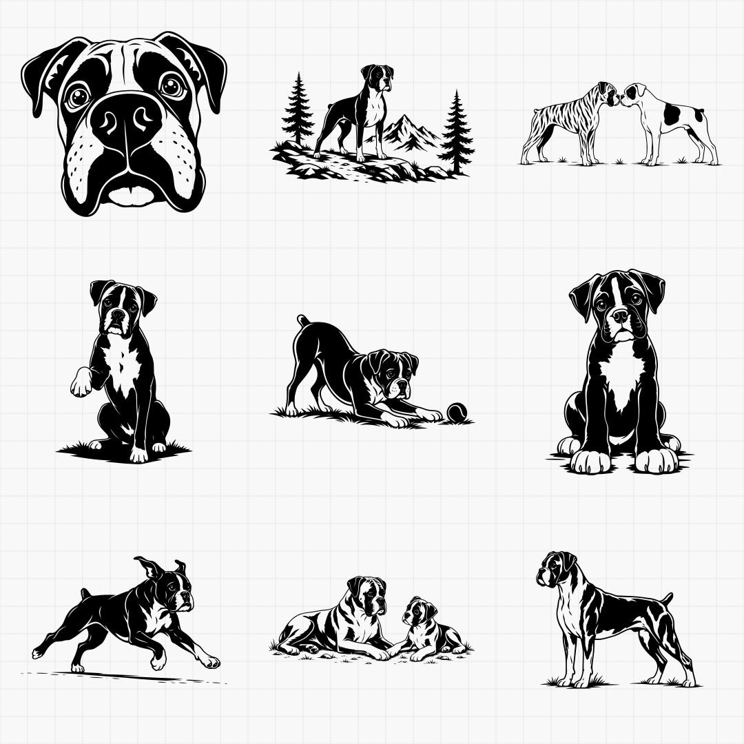 Boxer Designs - Thumbnail 4