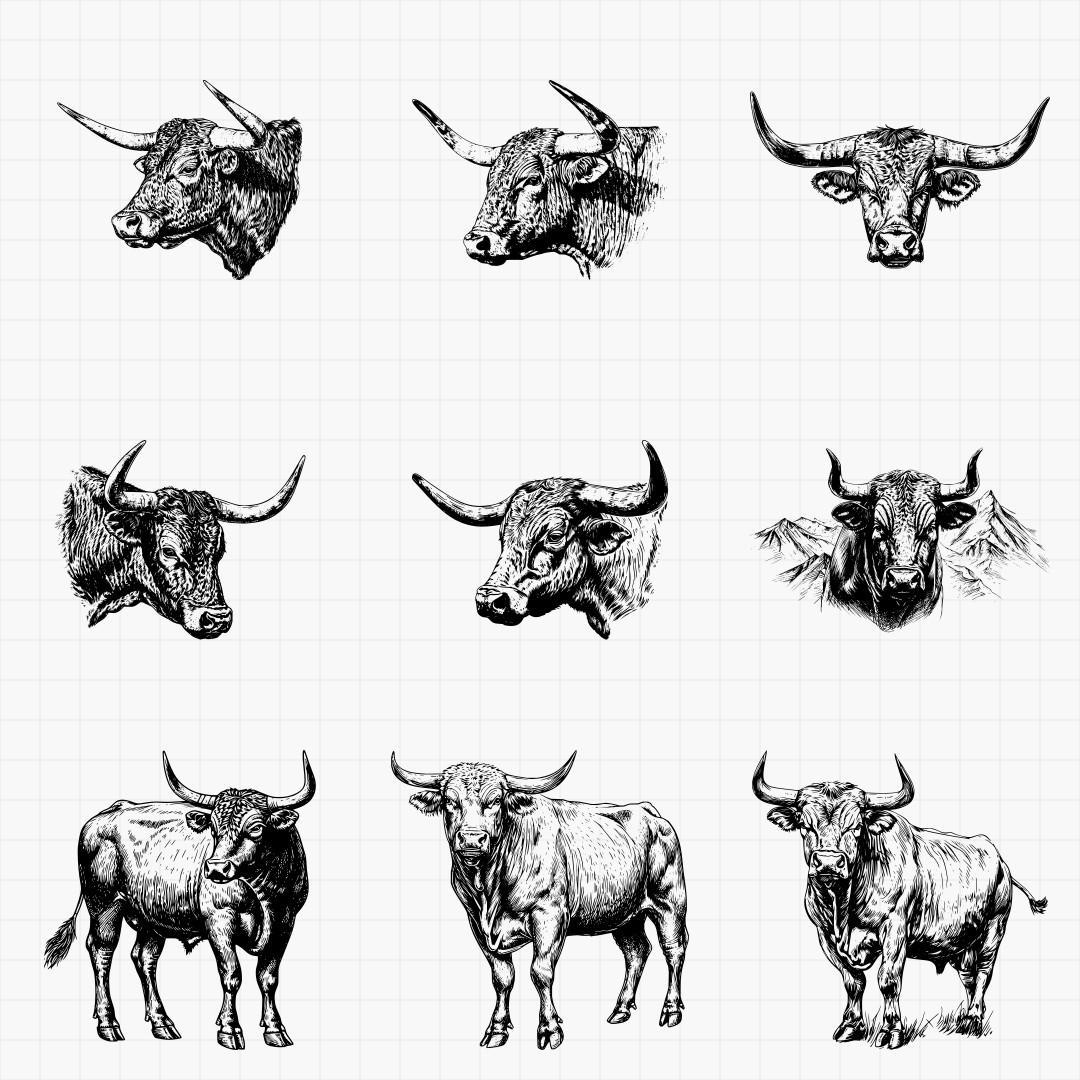 Bull Design Design Pack - Thumbnail 3