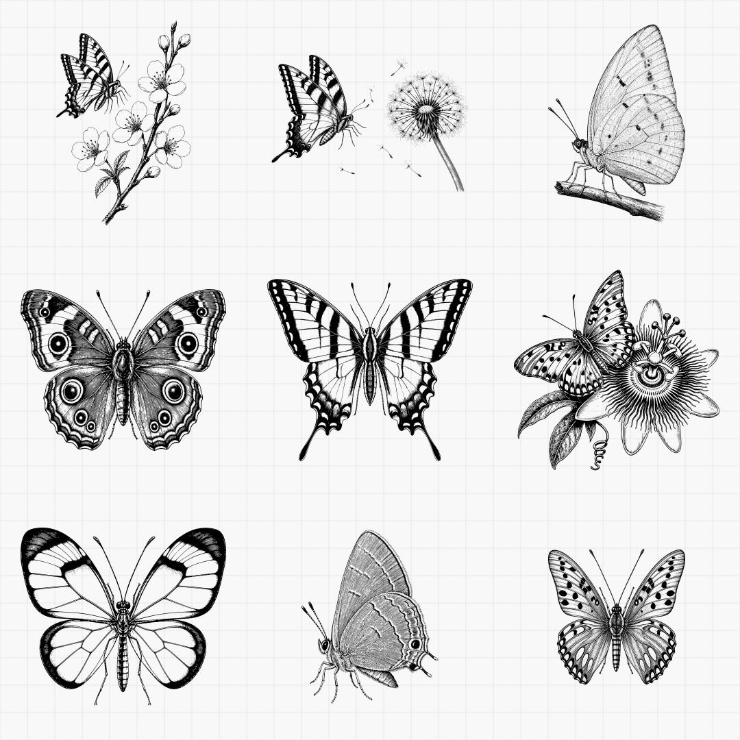Butterfly Engraving Designs - Thumbnail 3