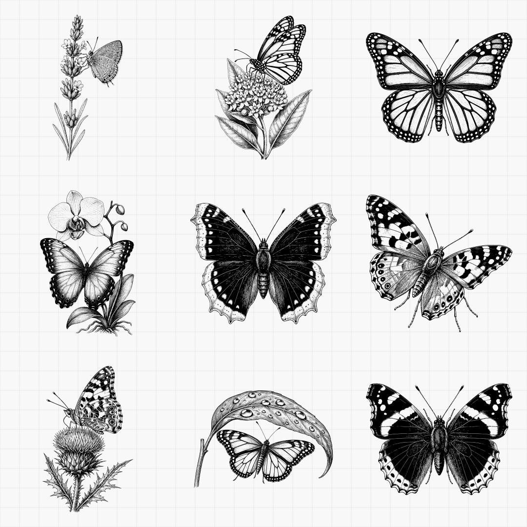 Butterfly Engraving Designs - Thumbnail 4