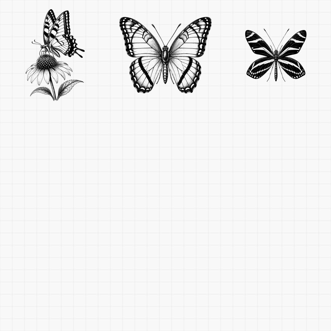 Butterfly Engraving Designs - Thumbnail 5