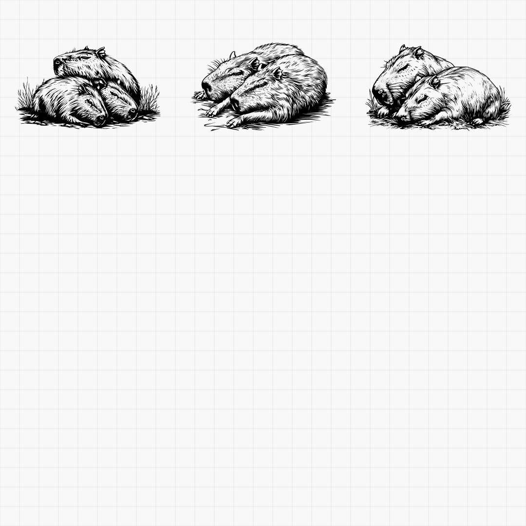 Capybara Designs - Thumbnail 5