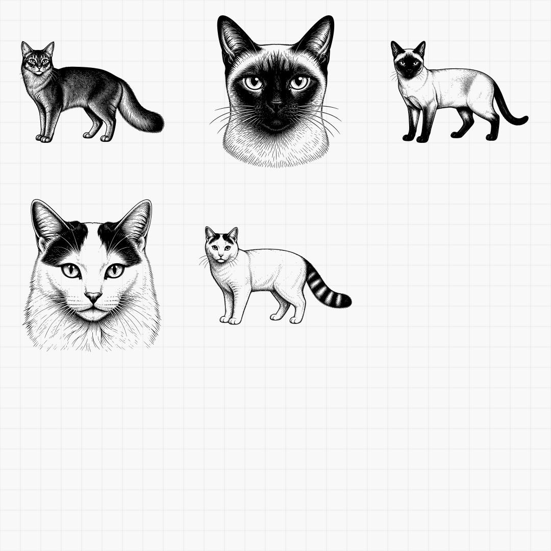 Cat Breed Designs — Part 2 - Thumbnail 7