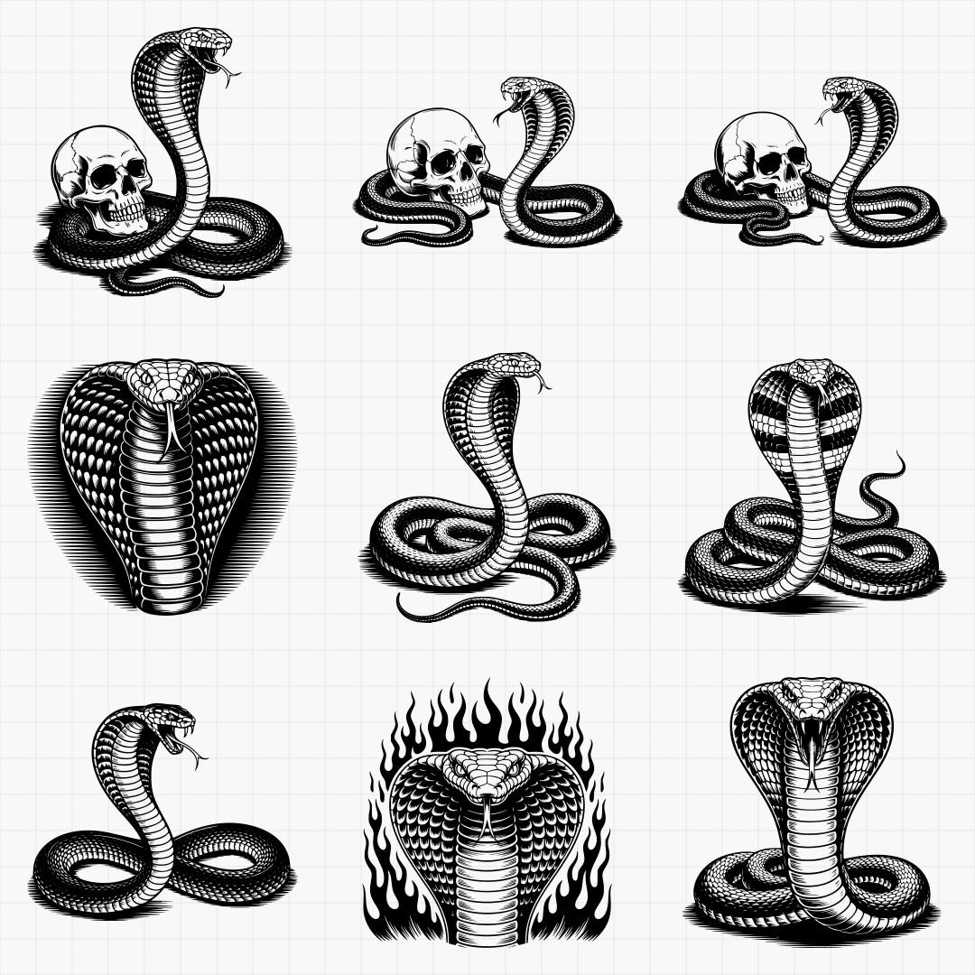 Cobra Designs - Thumbnail 2