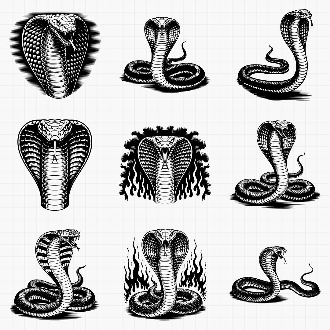 Cobra Designs - Thumbnail 3