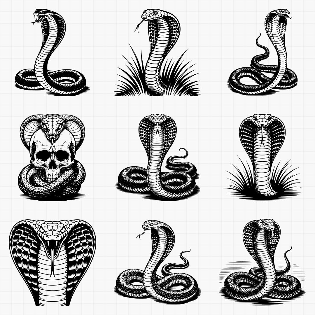 Cobra Designs - Thumbnail 4