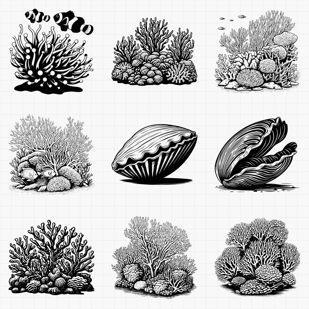 Coral And Sea Anemone Pack - Thumbnail 3