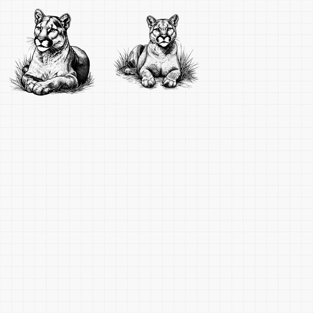 Cougar Designs Pack - Thumbnail 6