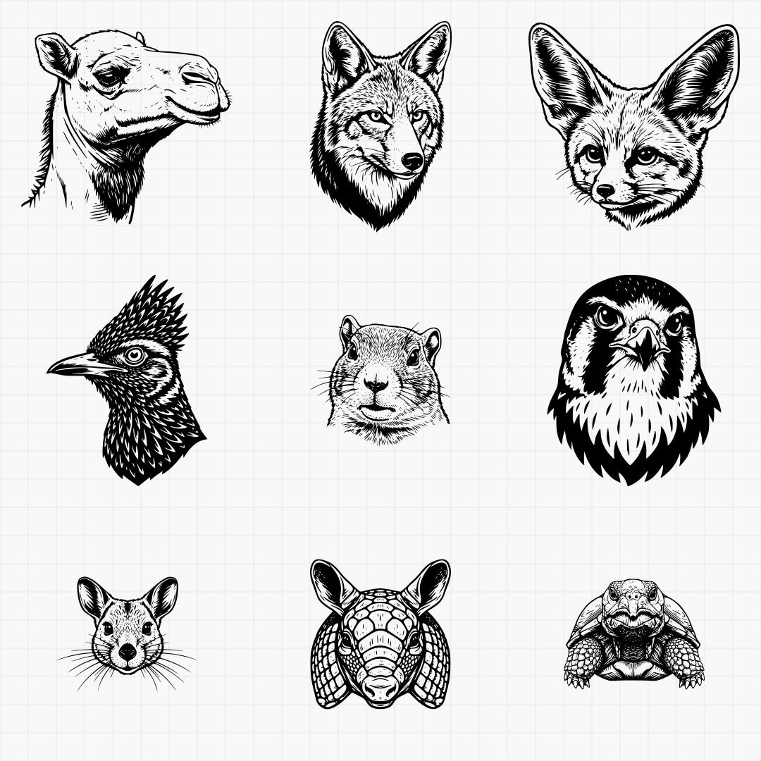 Desert And Southwest Animals - Thumbnail 3