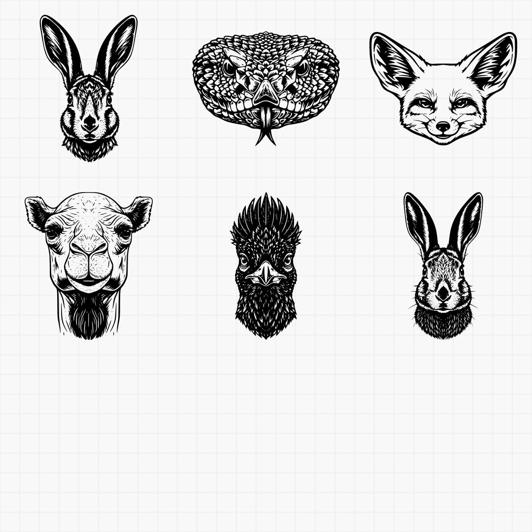 Desert And Southwest Animals - Thumbnail 4