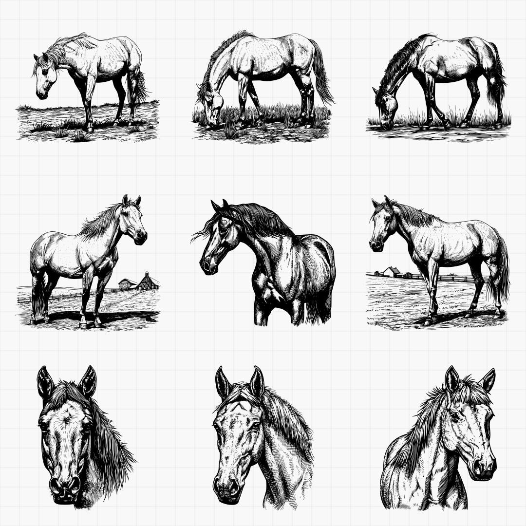 Detailed Horse Designs - Thumbnail 2