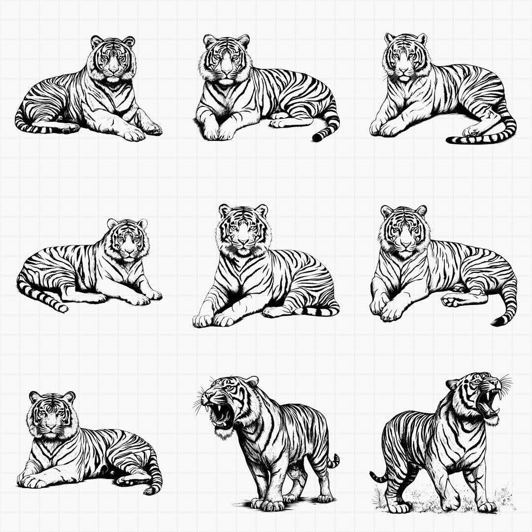 Detailed Tiger Designs - Thumbnail 2