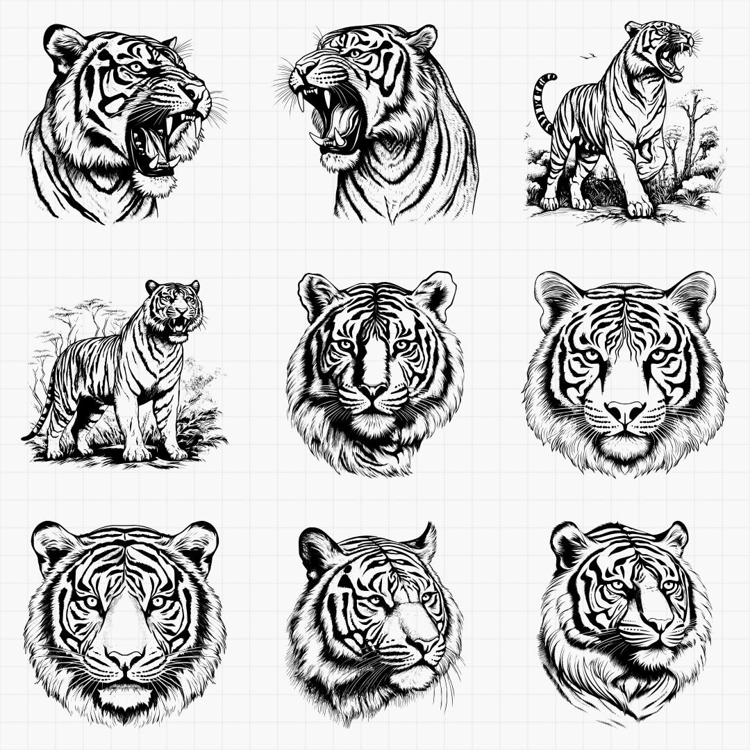 Detailed Tiger Designs - Thumbnail 4
