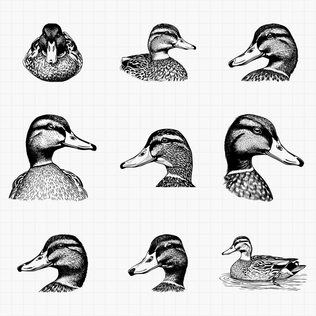 Duck Designs | PrintCutCarve | PrintCutCarve