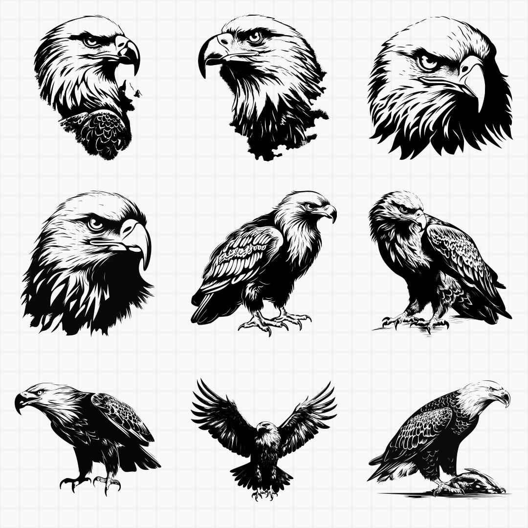 Eagle Designs - Thumbnail 2