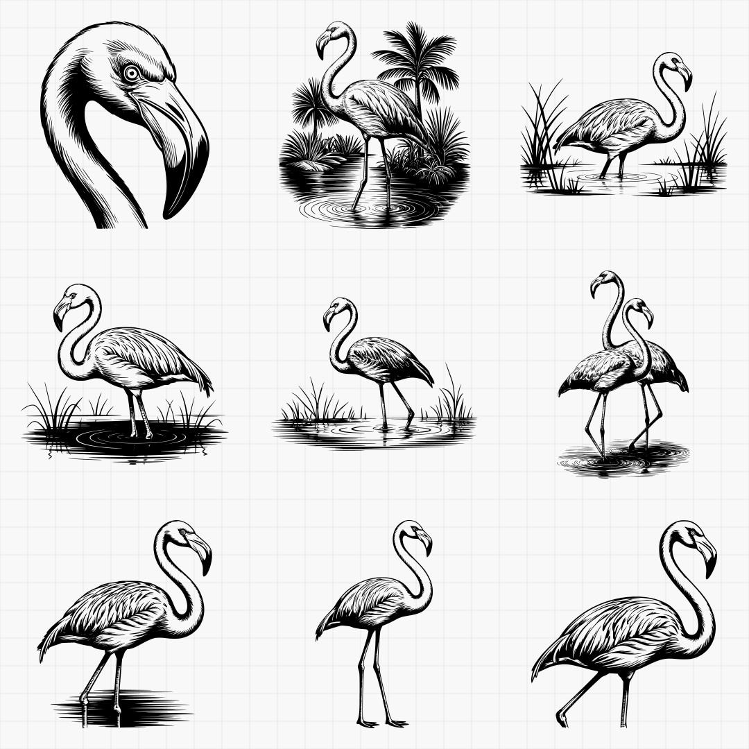 Flamingo Designs - Thumbnail 2