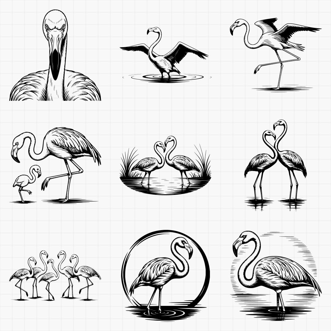 Flamingo Designs - Thumbnail 4