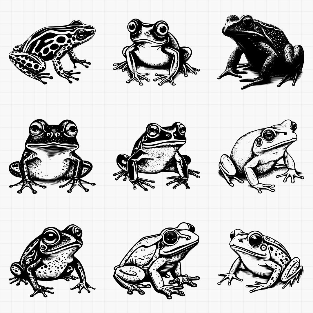 Frogs Pack - Thumbnail 3