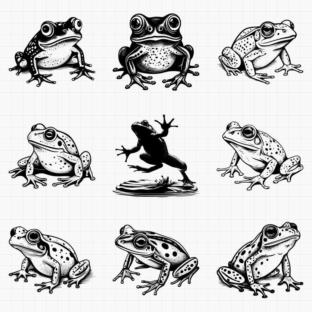 Frogs Pack - Thumbnail 6