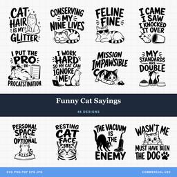 Funny Cat Sayings