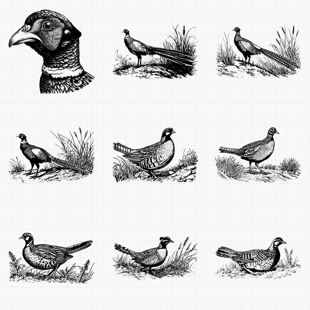 Game Bird Designs Pack - Thumbnail 3