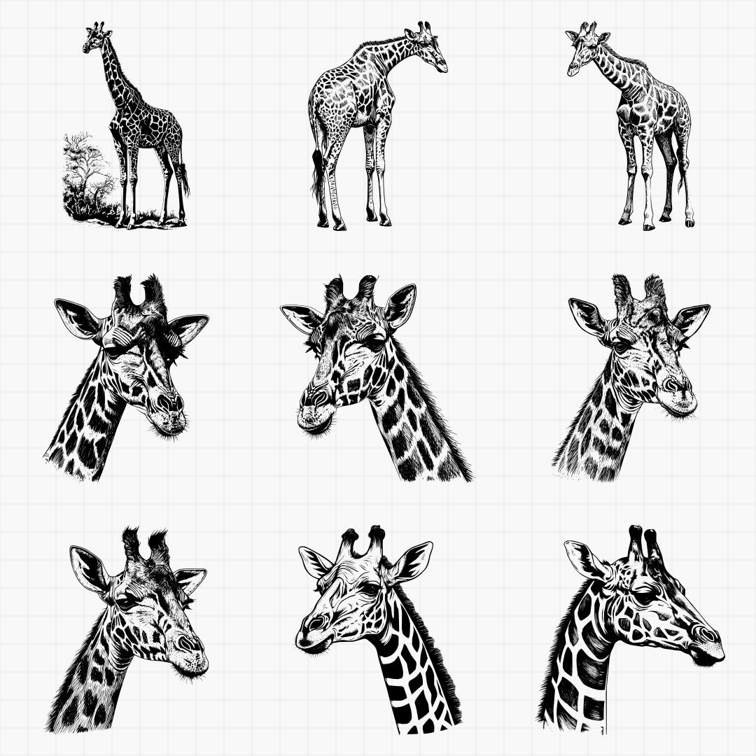 Giraffe Designs - Thumbnail 2