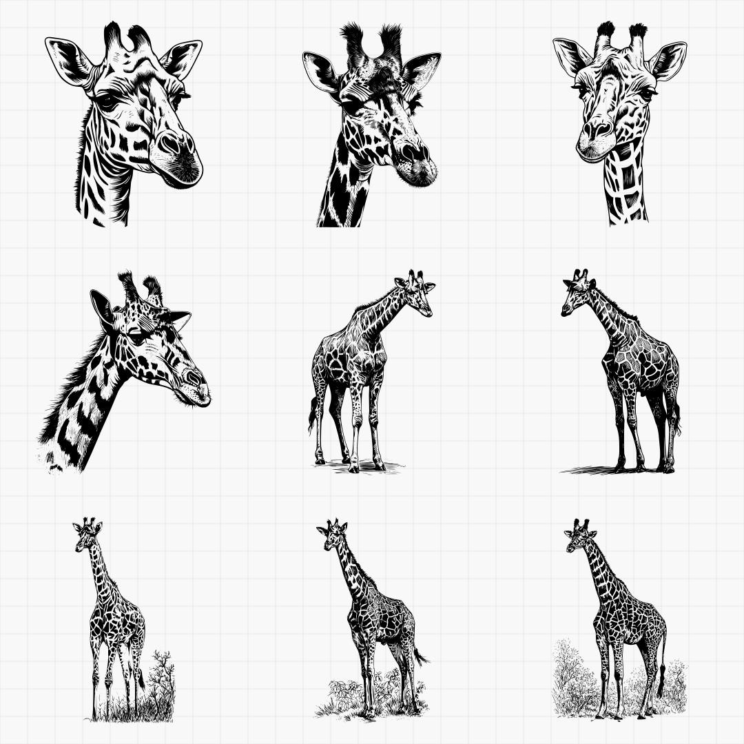 Giraffe Designs - Thumbnail 3