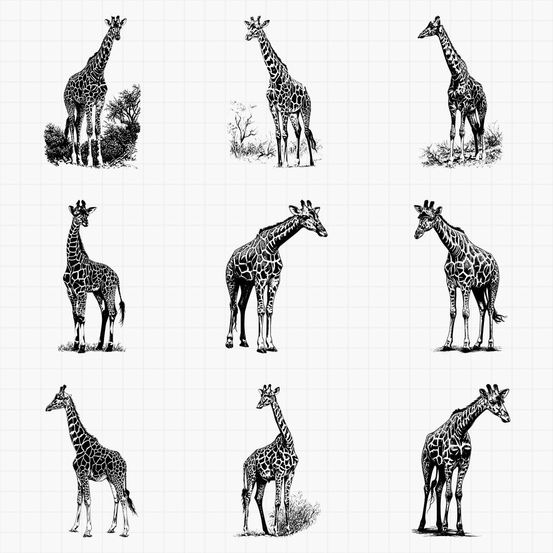 Giraffe Designs - Thumbnail 4