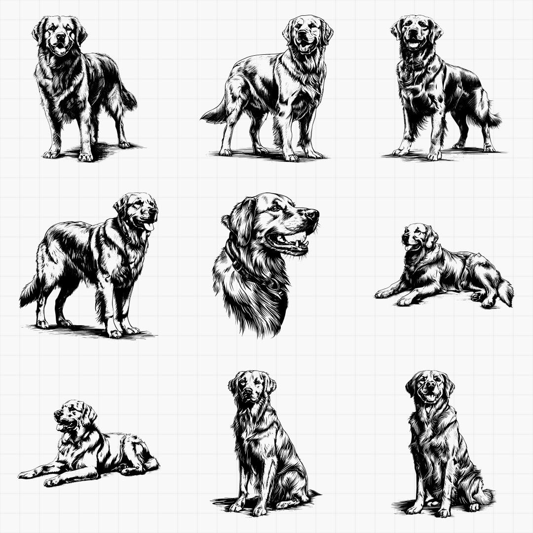 Golden Retriever Designs - Thumbnail 4