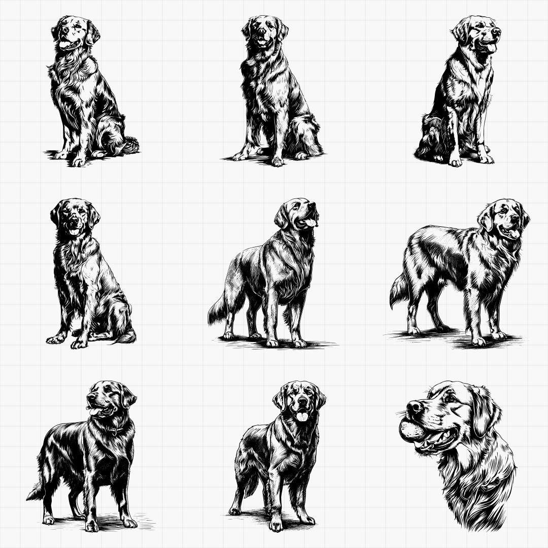 Golden Retriever Designs - Thumbnail 5