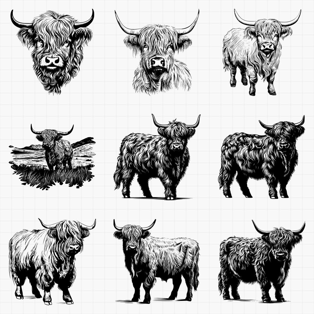 Highland Cow Designs - Thumbnail 3