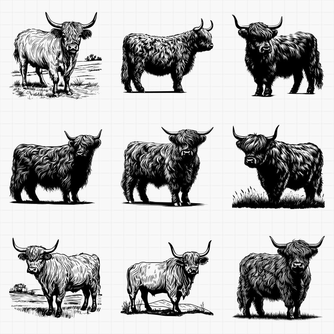 Highland Cow Designs - Thumbnail 4